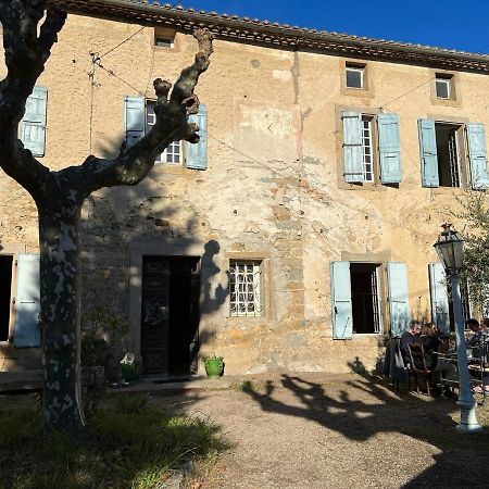 Conilhac-Corbières Les 3 Platanes Bed & Breakfast エクステリア 写真