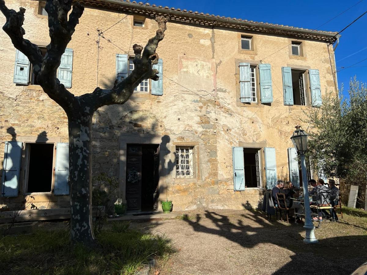 Conilhac-Corbières Les 3 Platanes Bed & Breakfast エクステリア 写真